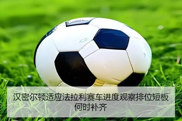 han-mi-er-dun-shi-ying-fa-la-li-sai-che-jin-du-guan-cha-pai-wei-duan-ban-he-shi-bu-qi-2-403.jpg
